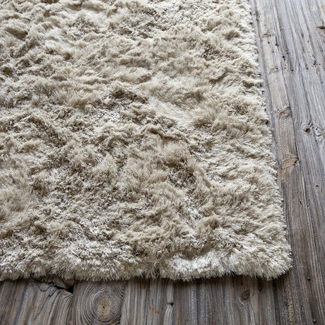 Chandra Naya NAY-18804 Tan and Beige rug, corner detail