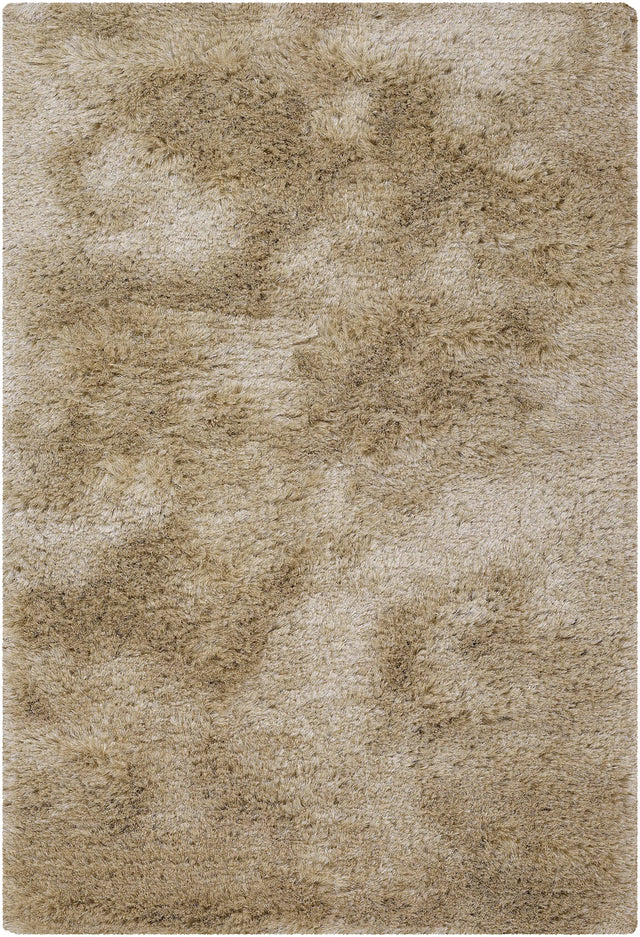 Chandra Naya NAY-18804 Tan and Beige rug, flat view