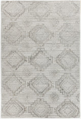 Chandra Nimah NIM-46502 Silver rug, flat view