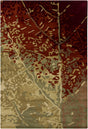 Chandra Nirvana NIR-6604 Green and Red and Burgundy and Brown rug, flat view