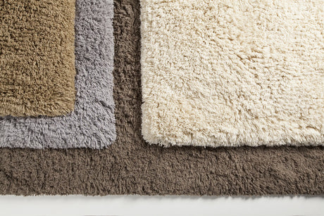 Chandra Noely rug collection, family color assortment