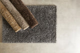 Chandra Orchid rug collection, family color assortment
