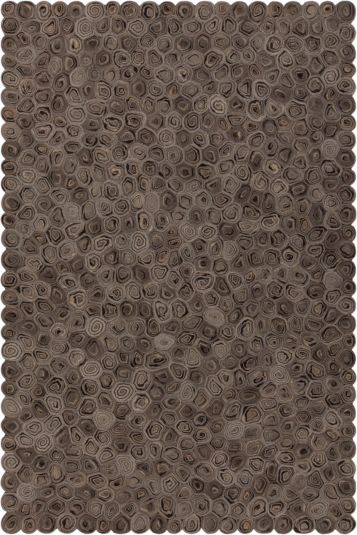 Chandra Patagonia PAT-46800 Taupe and Brown and Beige rug, flat view