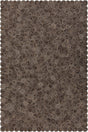 Chandra Patagonia PAT-46800 Taupe and Brown and Beige rug, flat view