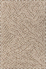 Chandra Patagonia PAT-46801 White and Brown and Beige rug, flat view