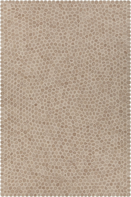 Chandra Patagonia PAT-46801 White and Brown and Beige rug, flat view