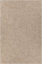 Chandra Patagonia PAT-46801 White and Brown and Beige rug, flat view