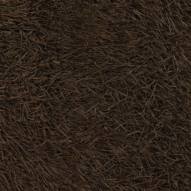 Chandra Poligan POL-30801 Brown rug, texture close-up