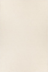 Chandra Raven RAV-47401 Ivory rug, flat view