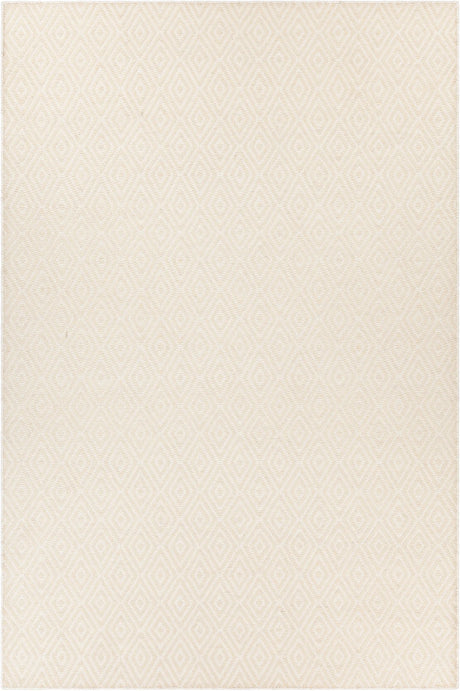 Chandra Raven RAV-47401 Ivory rug, flat view