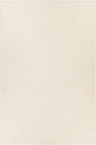 Chandra Raven RAV-47401 Ivory rug, flat view