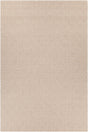 Chandra Raven RAV-47402 Tan rug, flat view