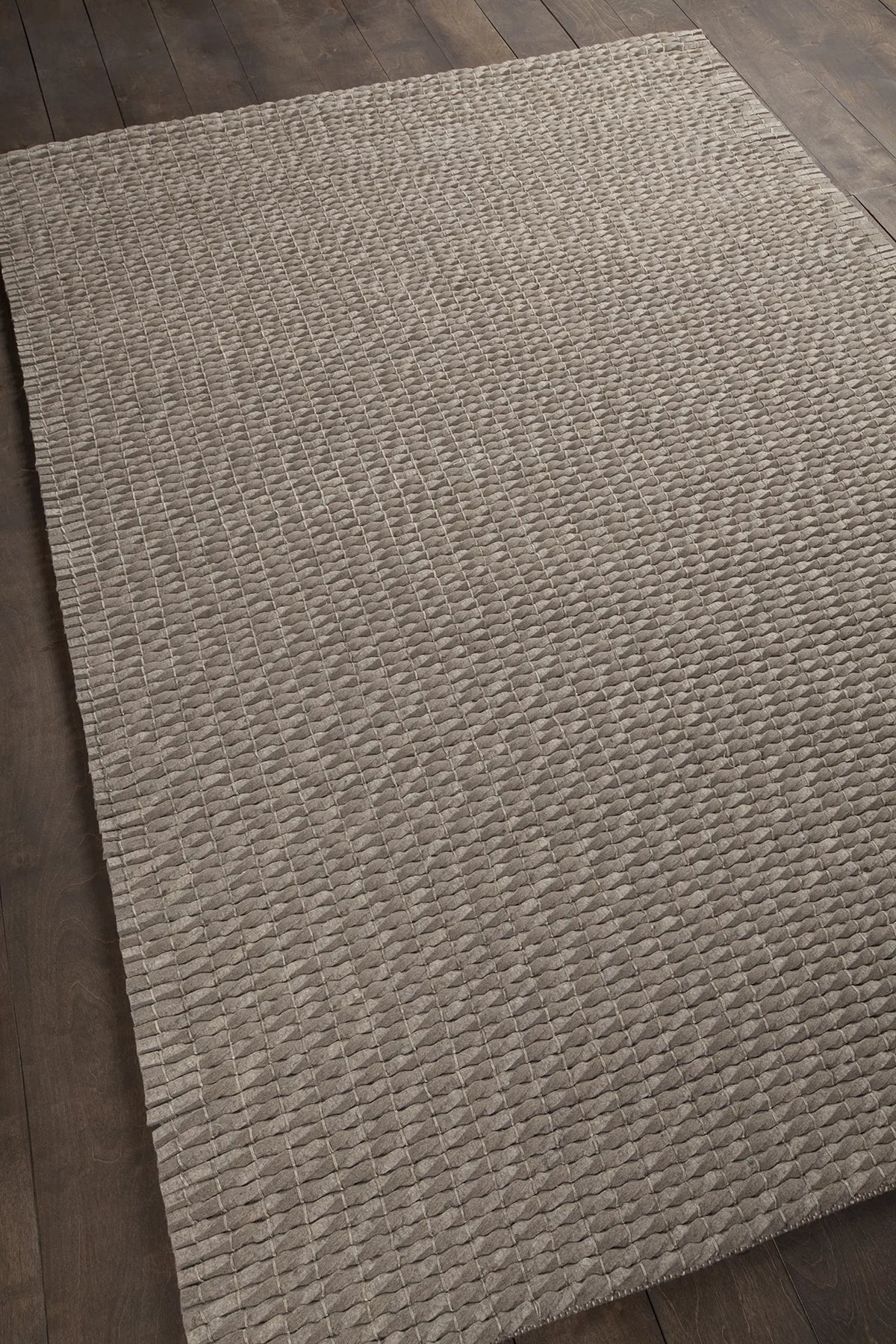 Chandra Renea REN-40102 Taupe rug, angled side view