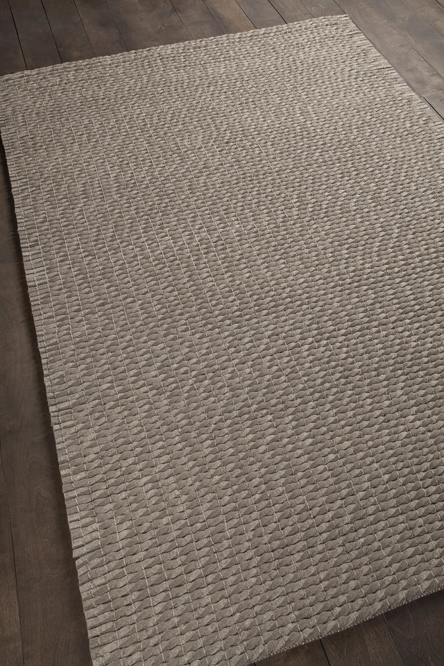 Chandra Renea REN-40102 Taupe rug, angled side view