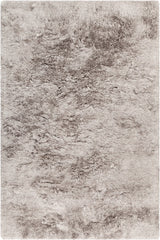 Chandra Roxy ROX-47602 Taupe rug, flat view