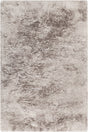Chandra Roxy ROX-47602 Taupe rug, flat view