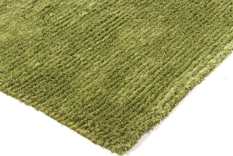 Chandra Royal ROY-15101 Green rug, corner detail