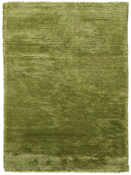Chandra Royal ROY-15101 Green rug, flat view