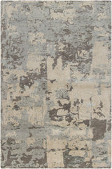 Chandra Rupec RUP-39610 Silver and Beige and Brown rug, flat view