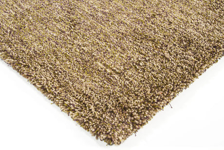 Chandra Sterling STE-21802 Brown and Green and Purple rug, corner detail