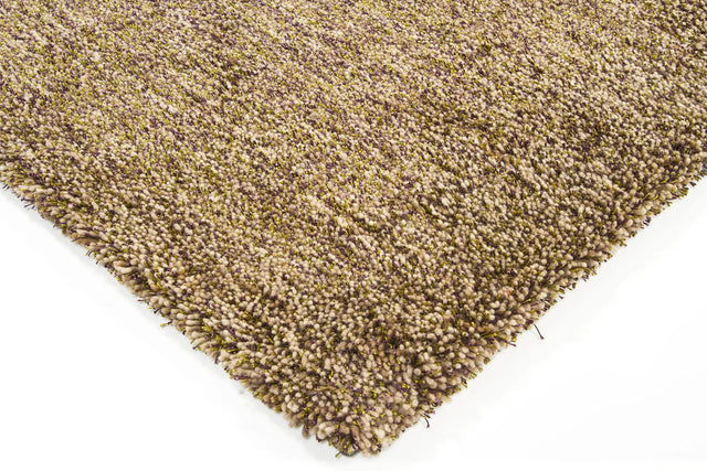 Chandra Sterling STE-21802 Brown and Green and Purple rug, corner detail
