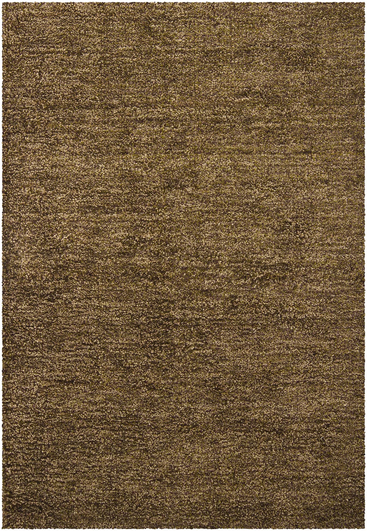 Chandra Sterling STE-21802 Brown and Green and Purple rug, flat view