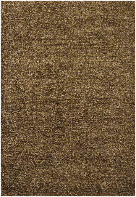 Chandra Sterling STE-21802 Brown and Green and Purple rug, flat view