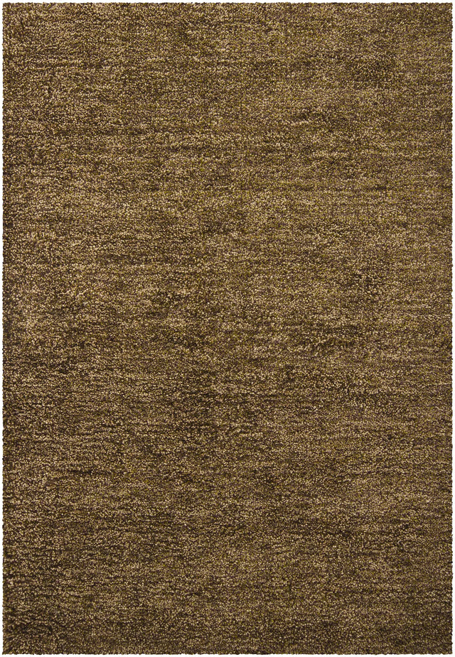 Chandra Sterling STE-21802 Brown and Green and Purple rug, flat view