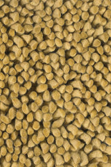 Chandra Strata STR-1109 Gold rug, texture close-up