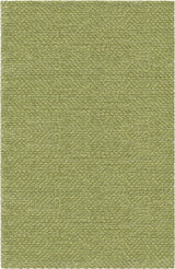Chandra Strata STR-1163 Green rug, flat view