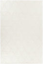 Chandra Sujan SUJ-34700 White rug, flat view