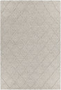 Chandra Sujan SUJ-34703 Grey rug, flat view