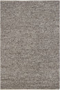 Chandra Valencia VAL-24402 Beige and Brown rug, flat view