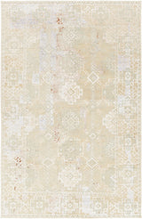 Chandra Vingel VIN-36804 green and grey and brown rug, flat view