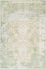 Chandra Vingel VIN-36805 green and grey and beige and cream rug, flat view