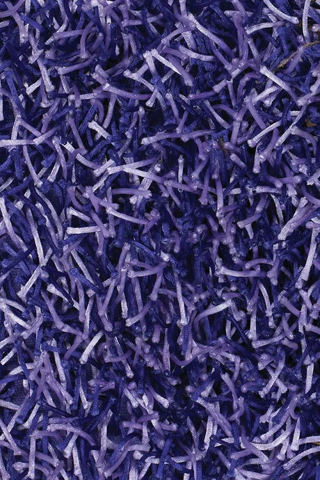 Chandra Zara ZAR-14500 Purple and Lavendar rug, texture close-up