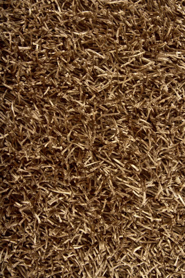 Chandra Zara ZAR-14501 Brown rug, texture close-up