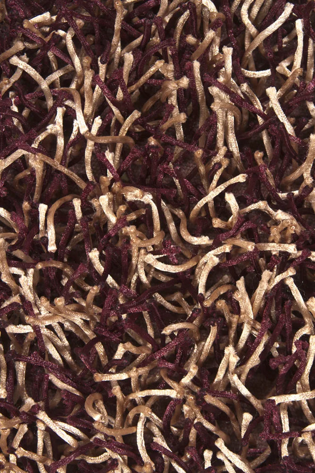 Chandra Zara ZAR-14509 Plum and Cream rug, texture close-up