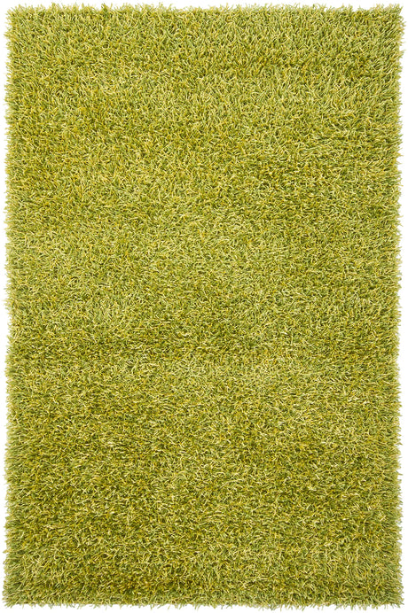 Chandra Zara ZAR-14511 Green and Yellow rug, flat view