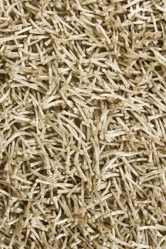 Chandra Zara ZAR-14520 Beige rug, texture close-up