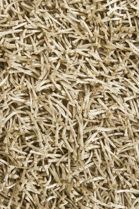 Chandra Zara ZAR-14520 Beige rug, texture close-up