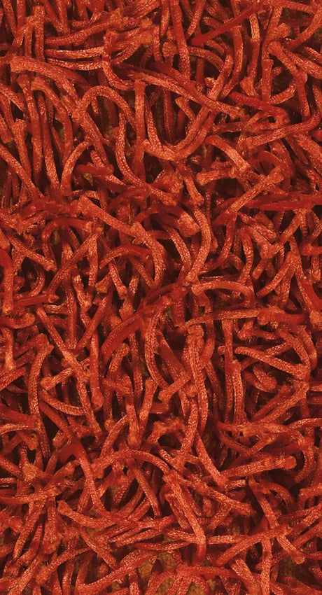 Chandra Zara ZAR-14524 Rust rug, texture close-up
