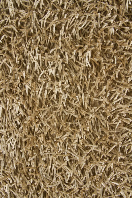 Chandra Zara ZAR-14530 Light Tan rug, texture close-up
