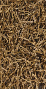 Chandra Zara ZAR-14531 Brown rug, texture close-up