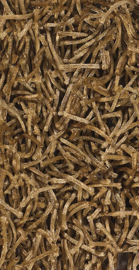 Chandra Zara ZAR-14531 Brown rug, texture close-up