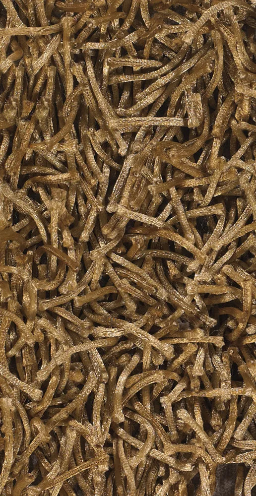 Chandra Zara ZAR-14531 Brown rug, texture close-up