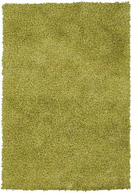 Chandra Zara ZAR-14536 Green rug, flat view