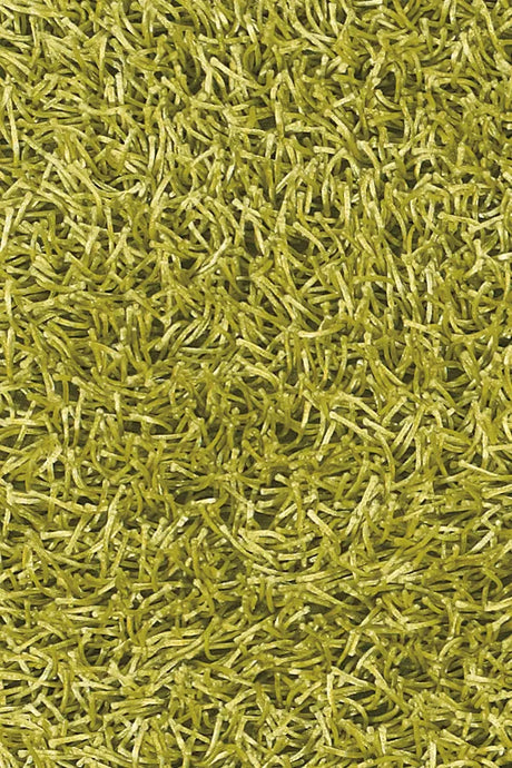 Chandra Zara ZAR-14536 Green rug, texture close-up