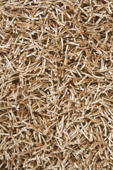 Chandra Zara ZAR-14539 Tan rug, texture close-up