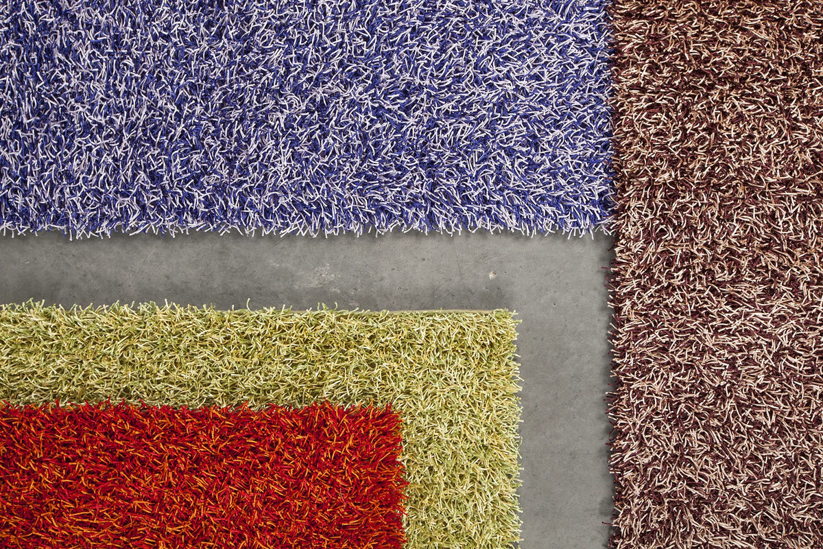 Chandra Zara rug collection, family color assortment
